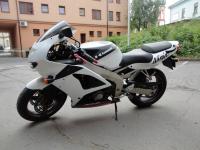 Kawasaki - Bílá perleť, carbon